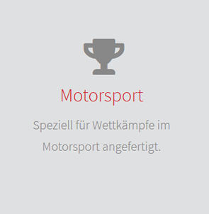 Motorsport Rennsitze aus 29693 Hodenhagen